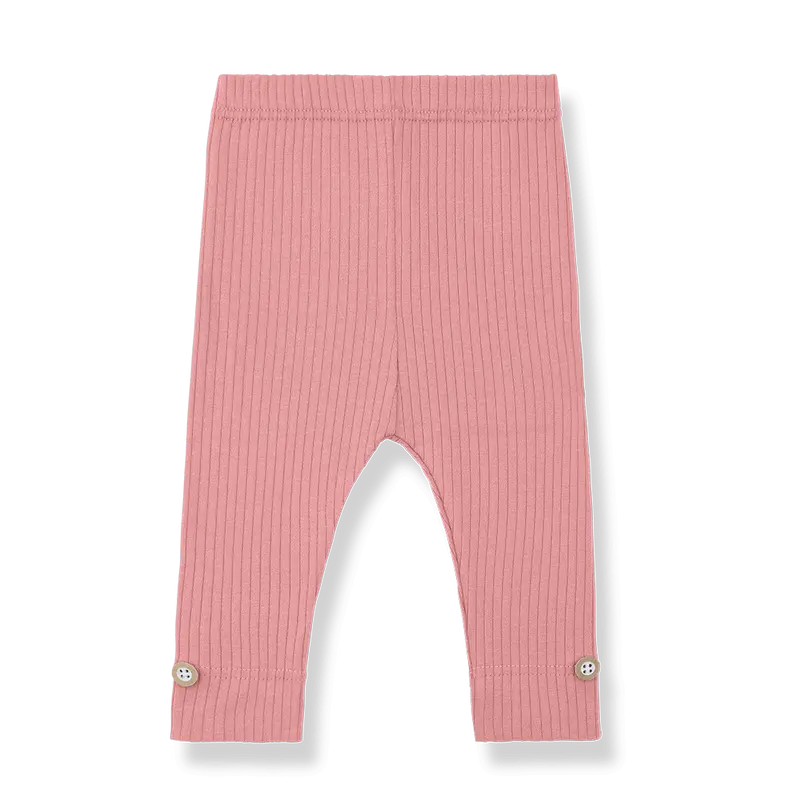 1+ in the family legging SINA strawberry