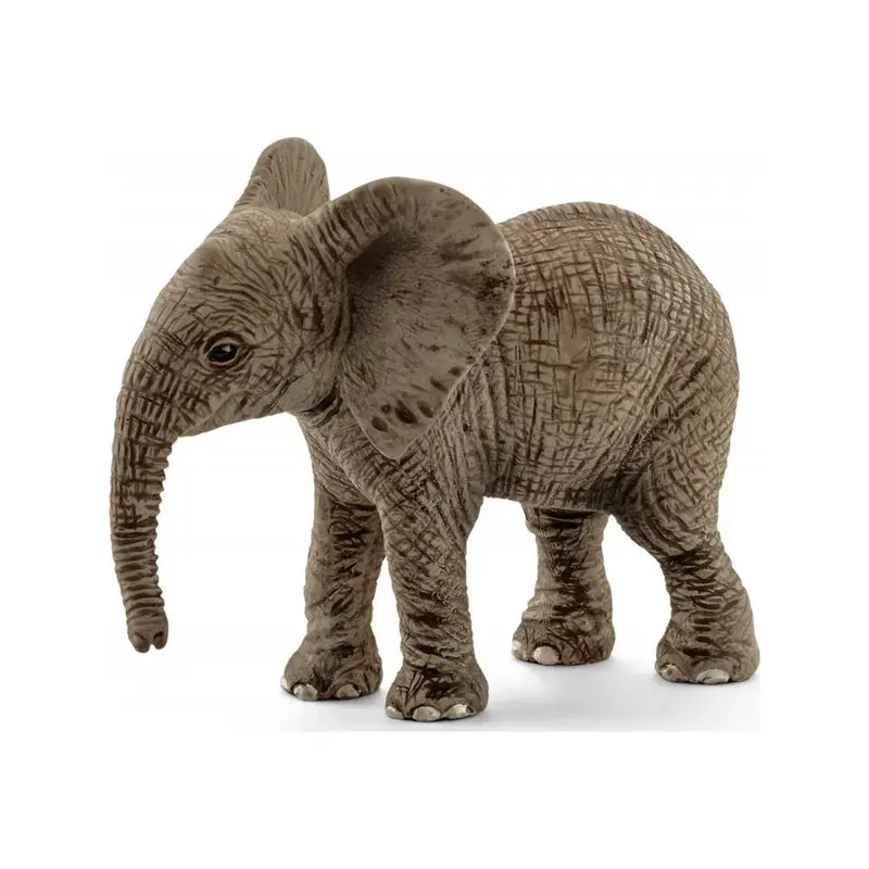 Baby Elephant
