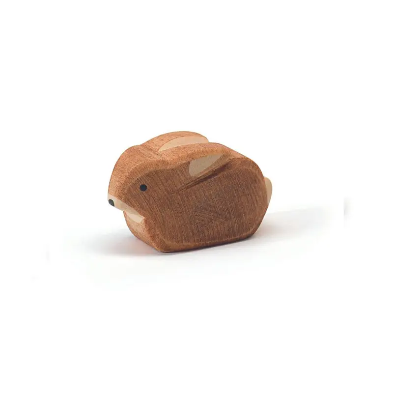 Baby Rabbit