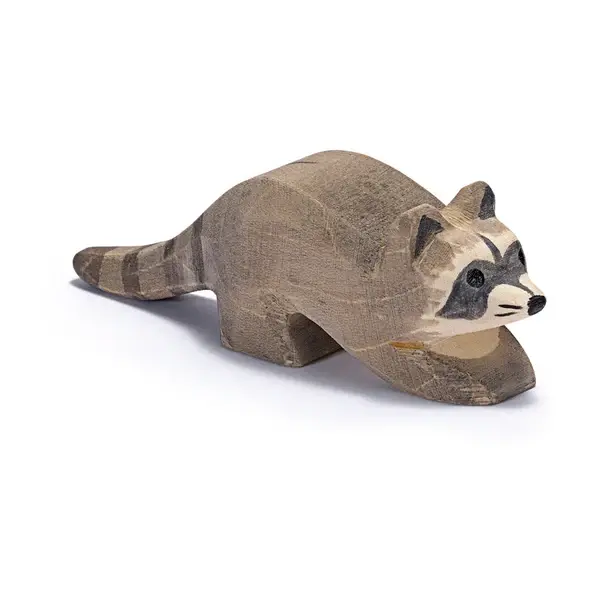 Baby Raccoon