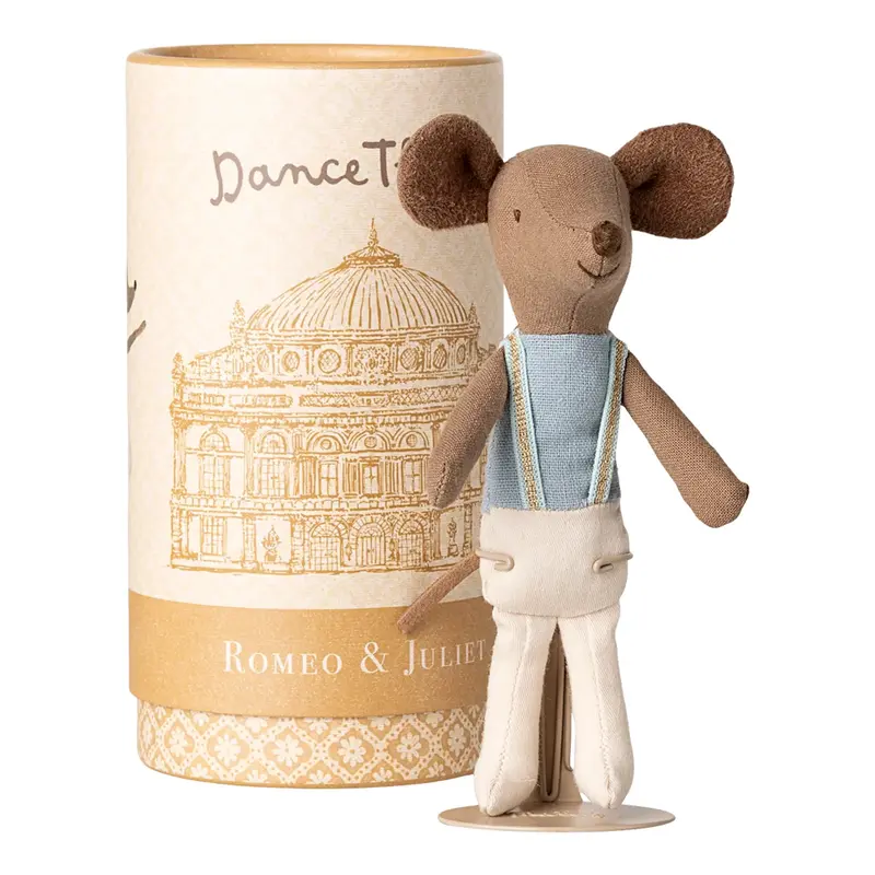 Ballet Muisje - Grote Broer