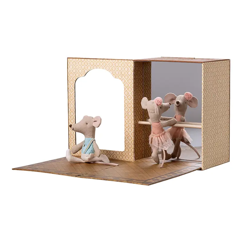 Balletstudio - Kleine Zus en Kleine Broer