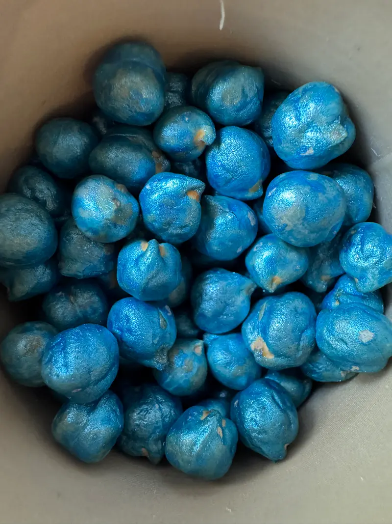 Blauwe gekleurde kikkererwten | Kliederspel