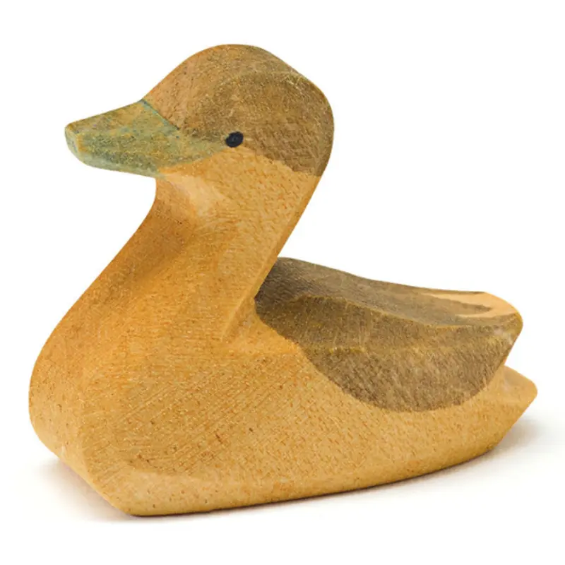 Canadese Gans Klein Zwemmend