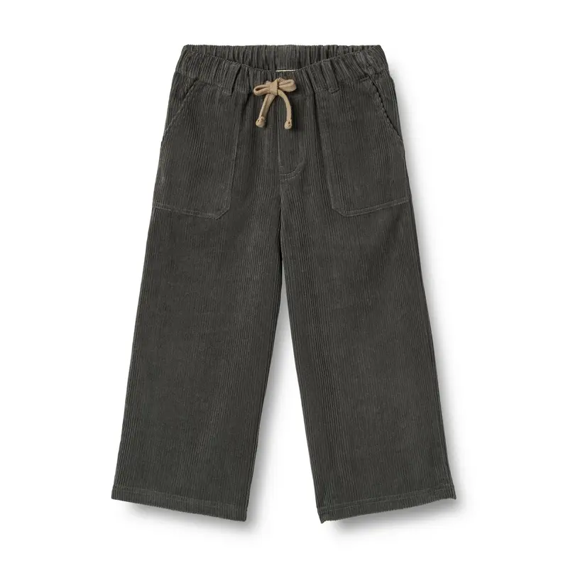 Corduroy broek James - Biologisch katoen - Wide fit - Black sea/zwart - Wheat