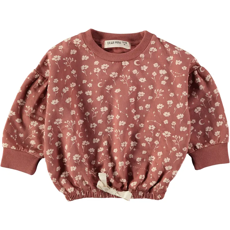 Cosmic flower sweatshirt terracotta Dear Mini