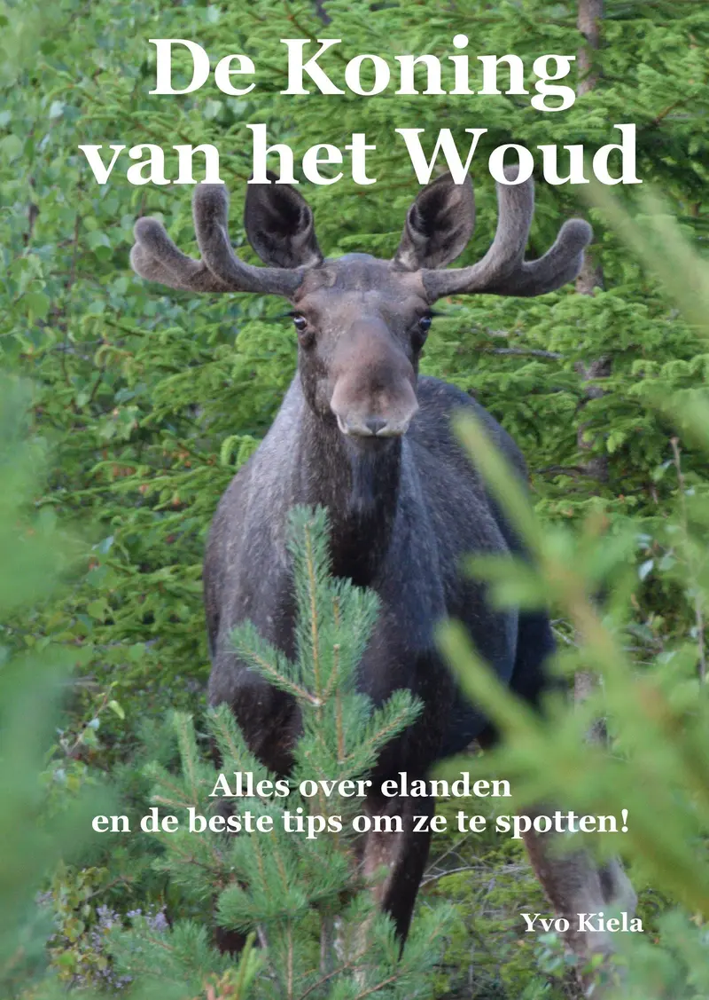 De Koning van het Woud