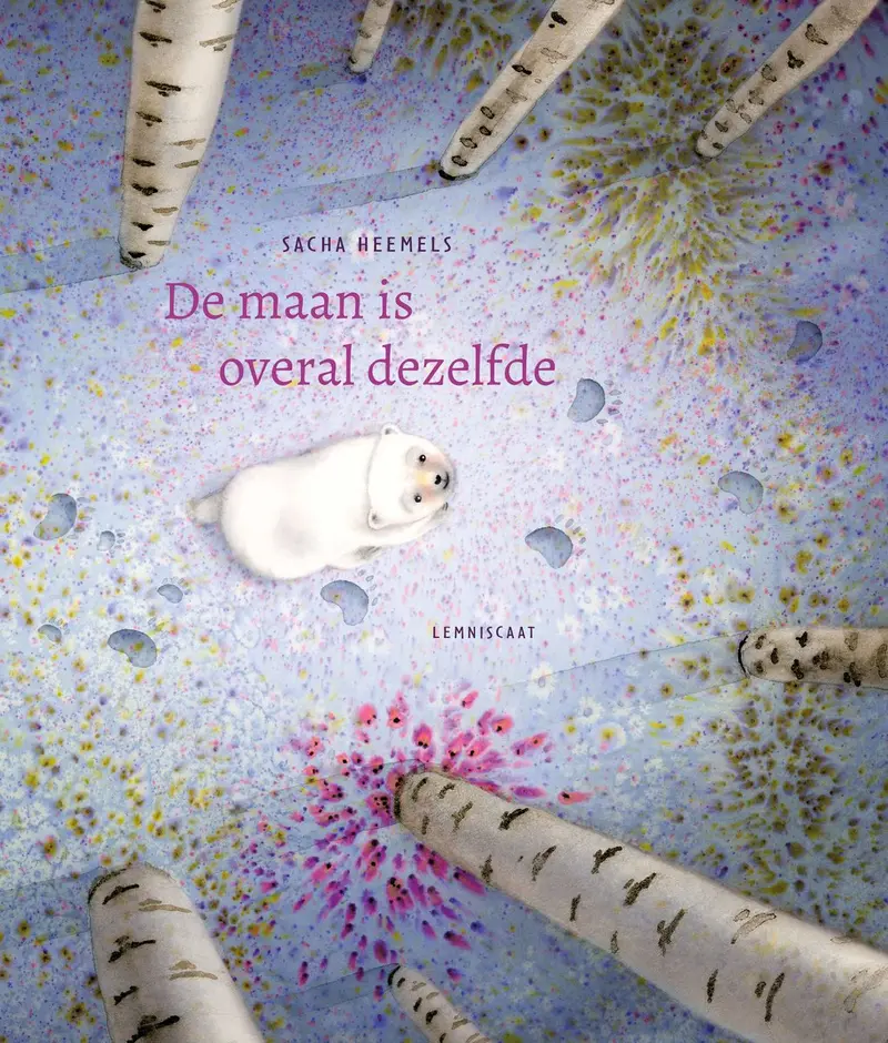 De maan is overal hetzelfde