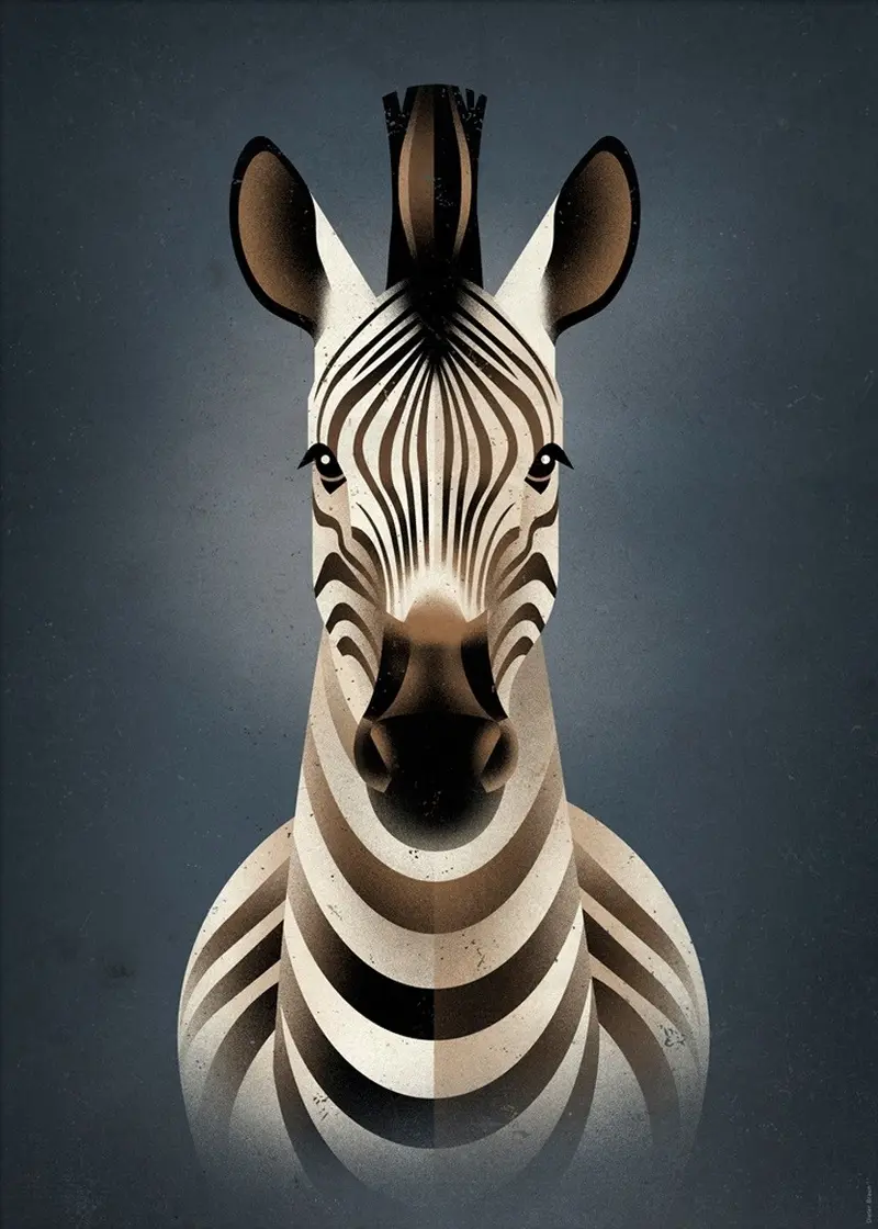 Dieter Braun poster Zebra 50 x 70 cm