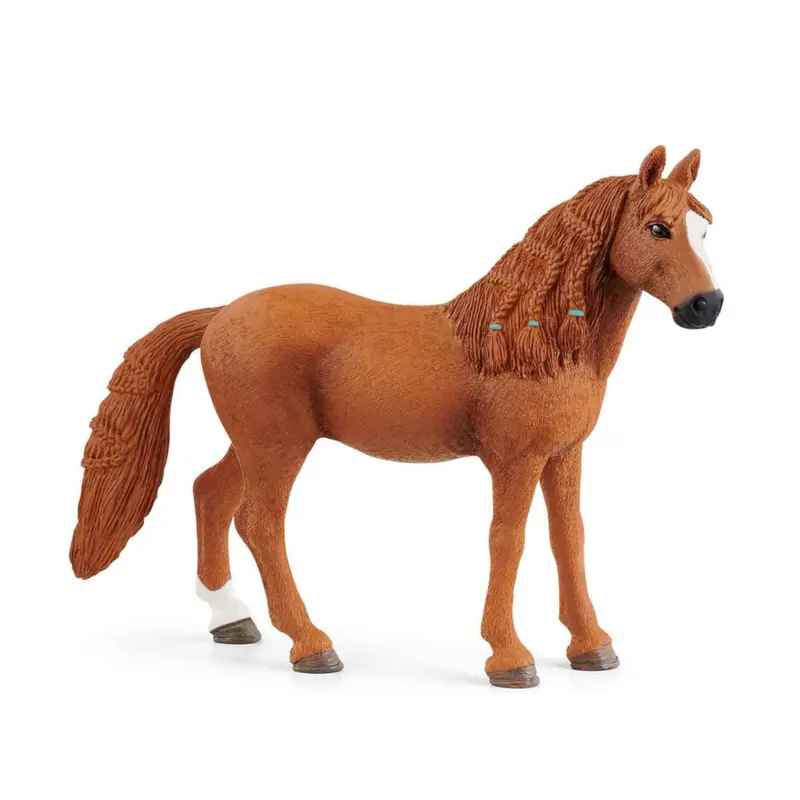 German Riding Horse