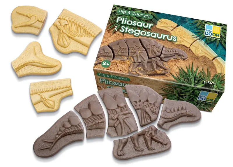 Graaf en Ontdek Pliosaurus en Stegosaurus | Yellow Door