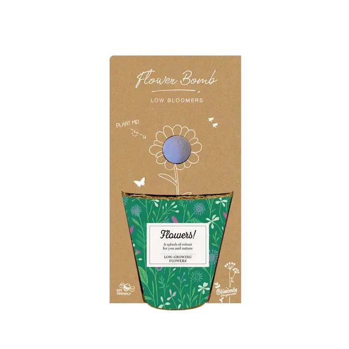 Grow kit met zaadbommetje "Flowers" - Blossombs