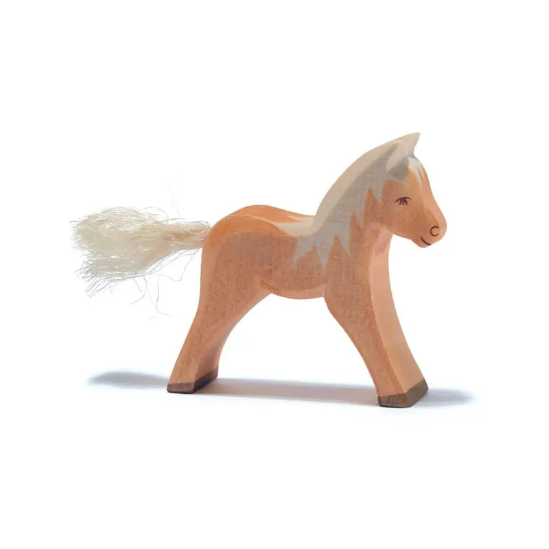 Haflinger Colt