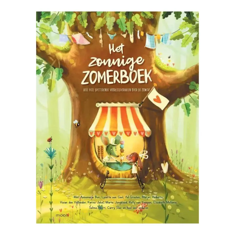 Het zonnige zomerboek