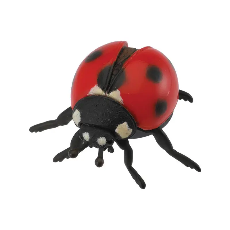 Ketting en Armband Ladybird