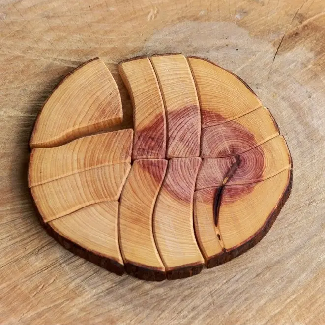 Life Puzzle 12 Pieces