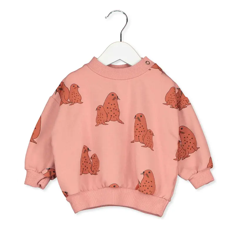 Lötiekids baby sweater seals rose