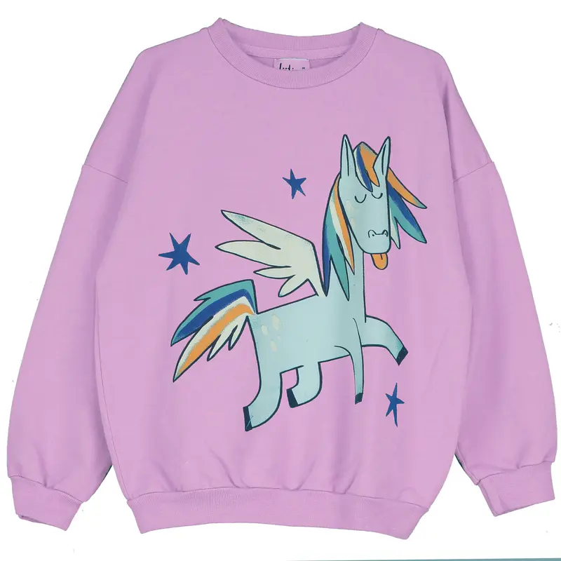 Lötiekids sweater pegasus stars verbena