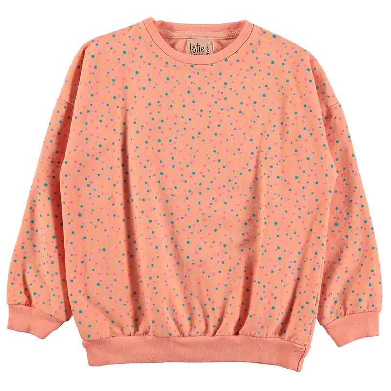 Lötiekids sweater rose dots