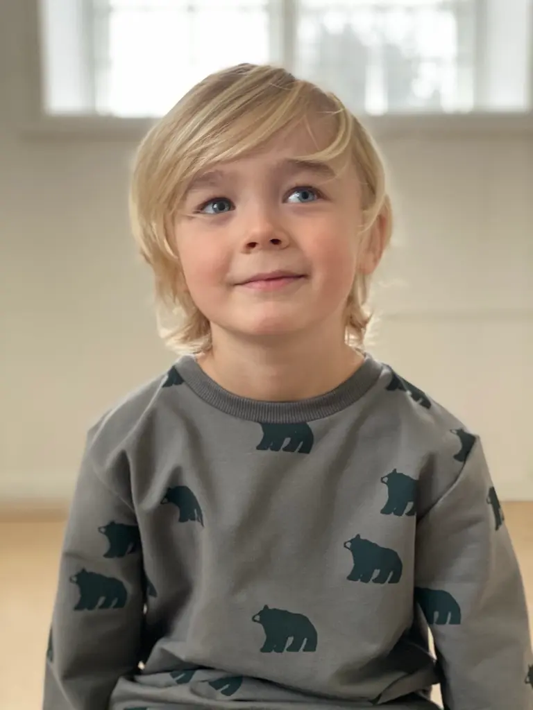 Mads sweatshirt wild grey green Gro Company