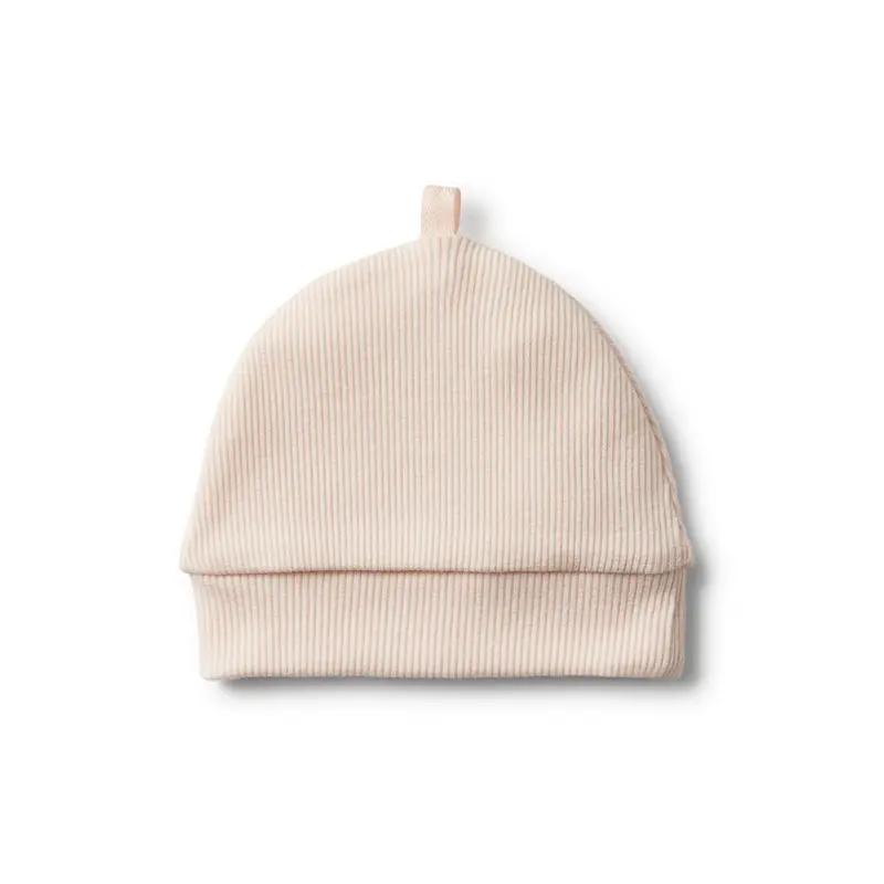 Organic oyster rib beanie Wilson & Frenchy