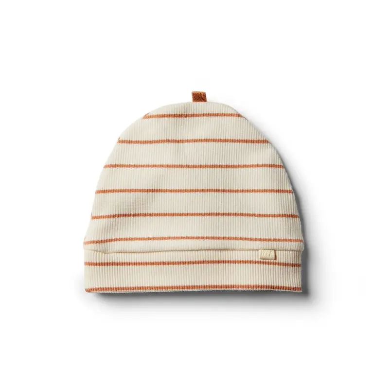 Organic toasted nut stripe beanie Wilson & Frenchy