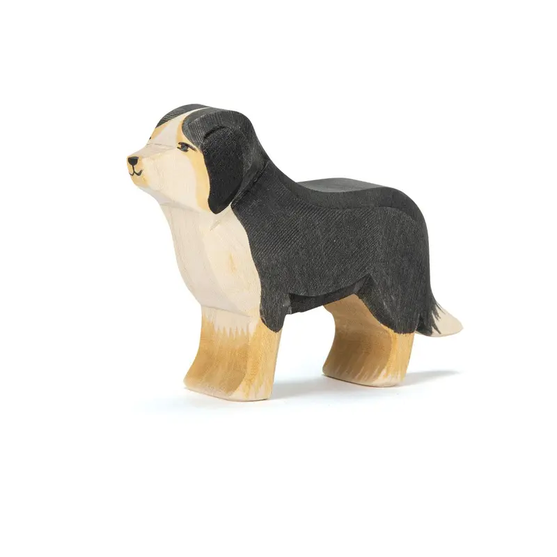 Ostheimer – Berner Sennenhond | 10521