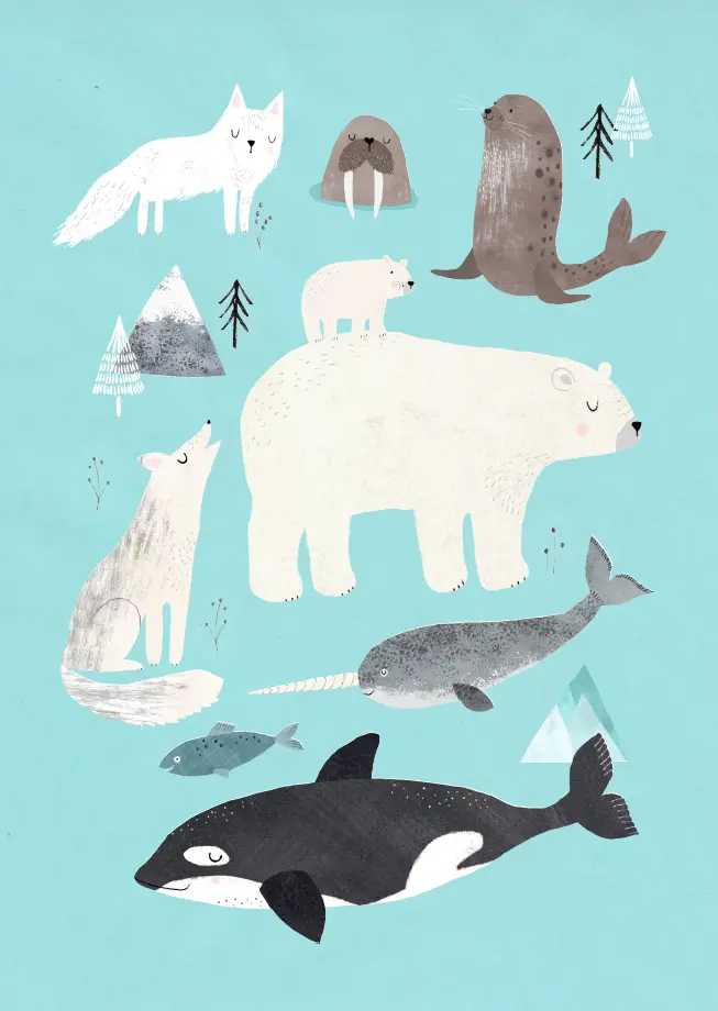 Petit Monkey poster Artic Animals 50 x 70 cm