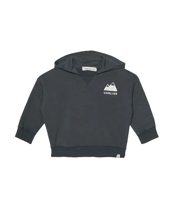 Pirineo hoodie sweatshirt shadow gray Dear Mini