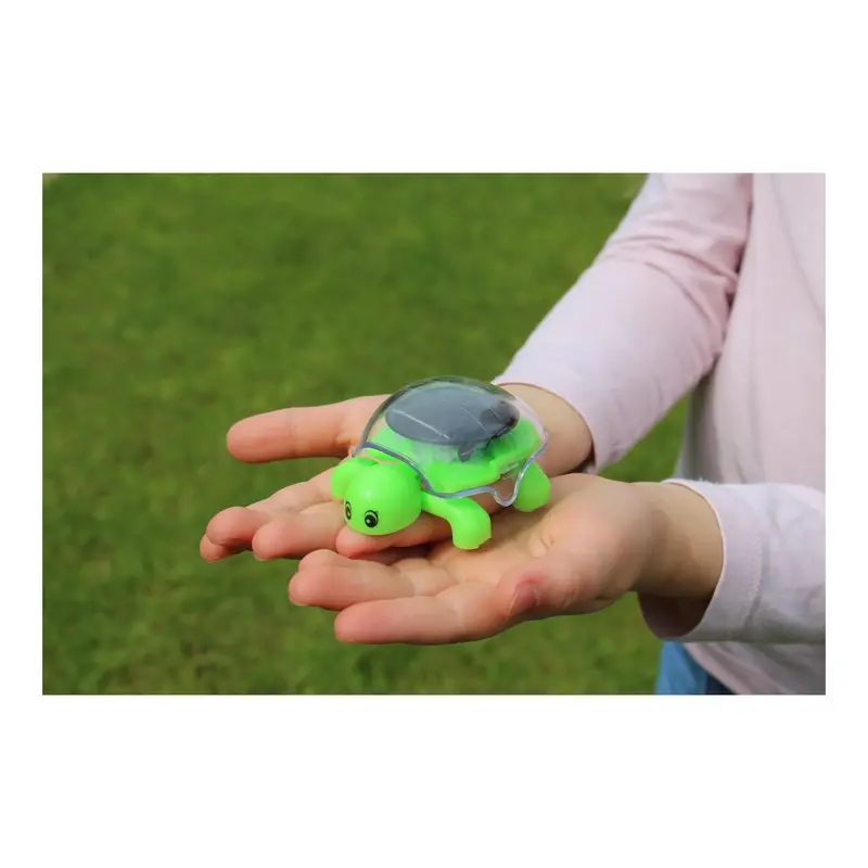 Schildpad op zonne-energie