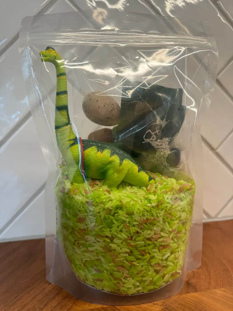 Sensorische Speelset Dinosaurus (kies je dino)