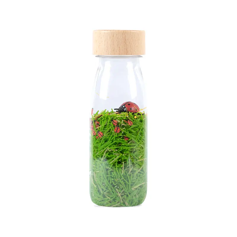 Sensory Bottle - SOUND BOTTLE Ladybirds