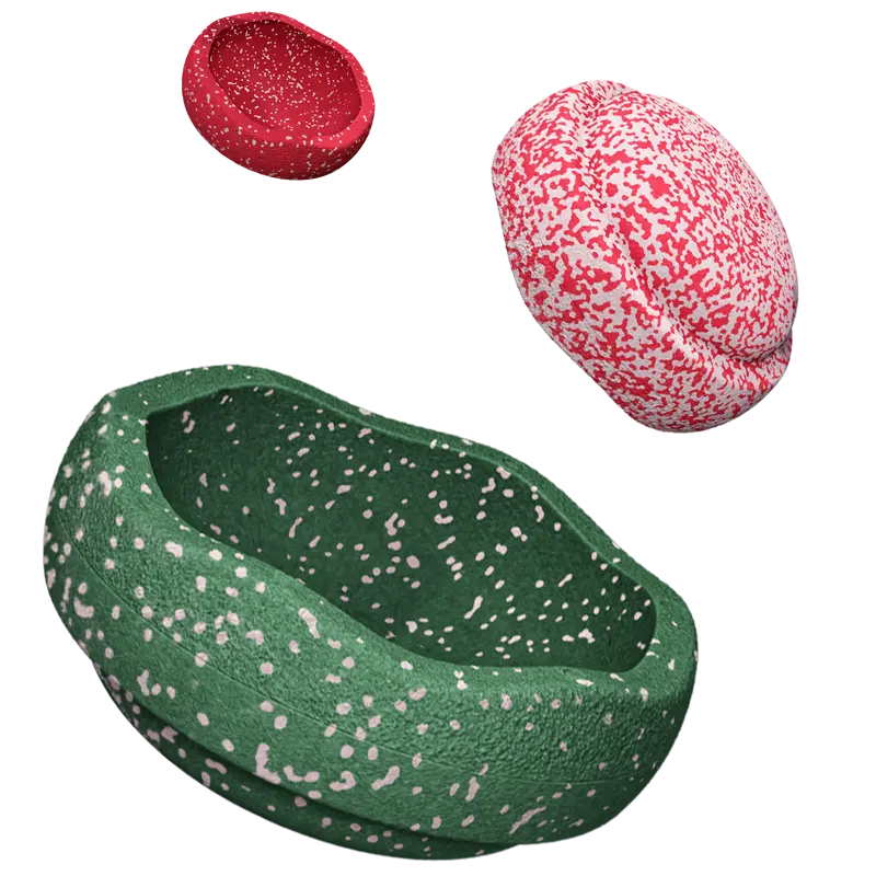 Special Trilogy Set - Blush