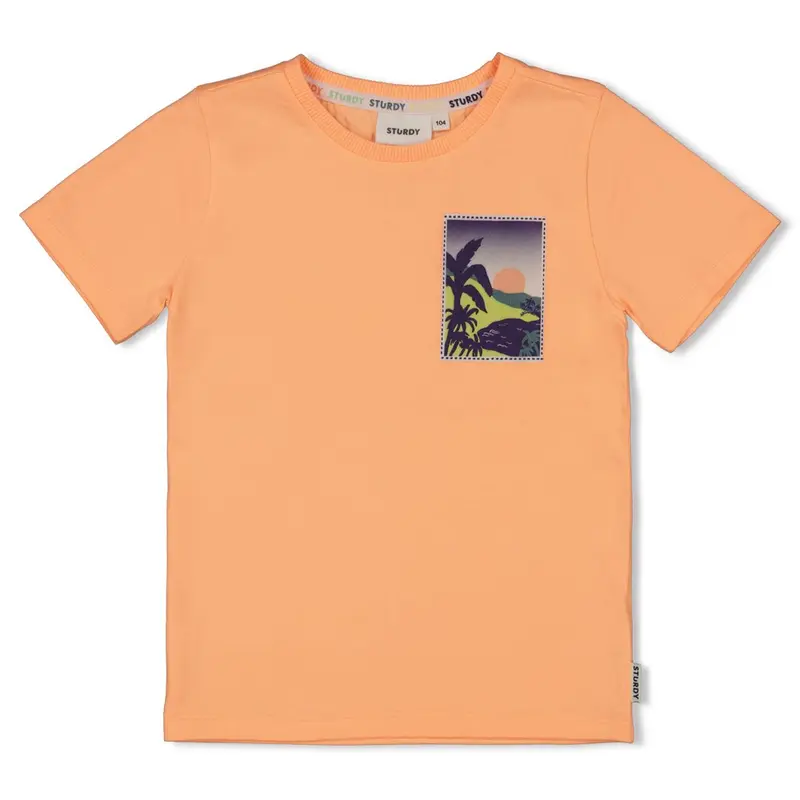 Sturdy T-shirt Neon Oranje - Lagoon Legends