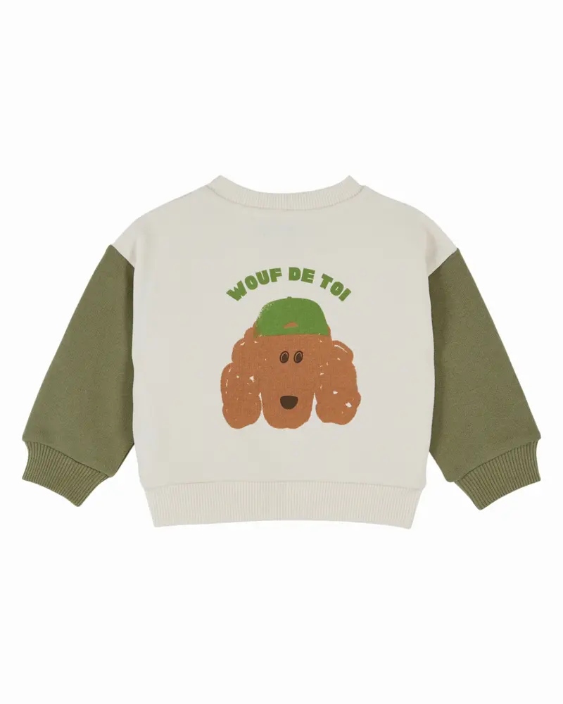 Sweater met hondenprint – Ecru Pistache – Biologisch katoen - Sweatshirt Bicolore - Emile et Ida