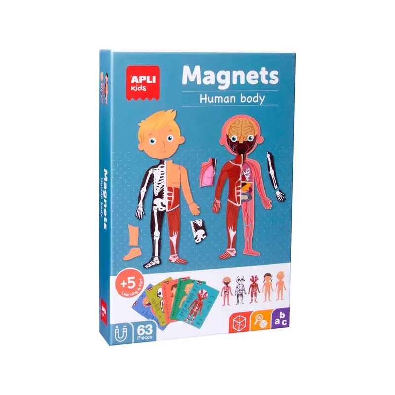 The Human Body magnets