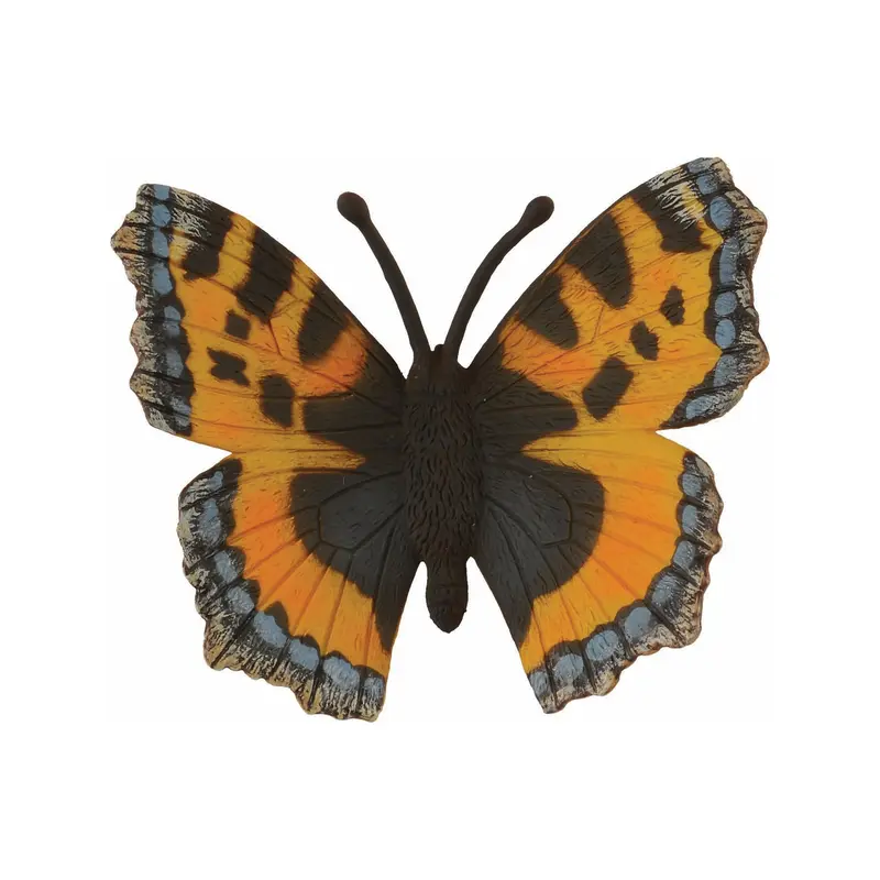 Tortoiseshell Butterfly