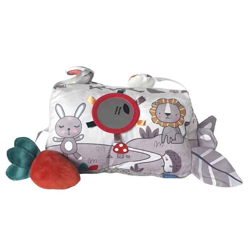 Tummy-Time Activiteiten Kussen