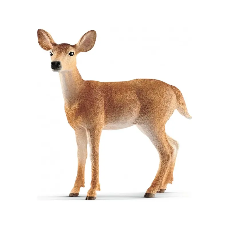 Virginia Deer