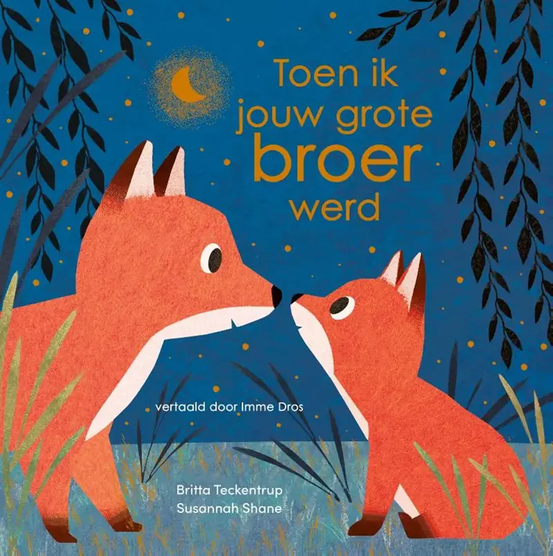 Voorleesboek - Toen ik jouw grote broer werd - 0+ jaar - Egmont Toys