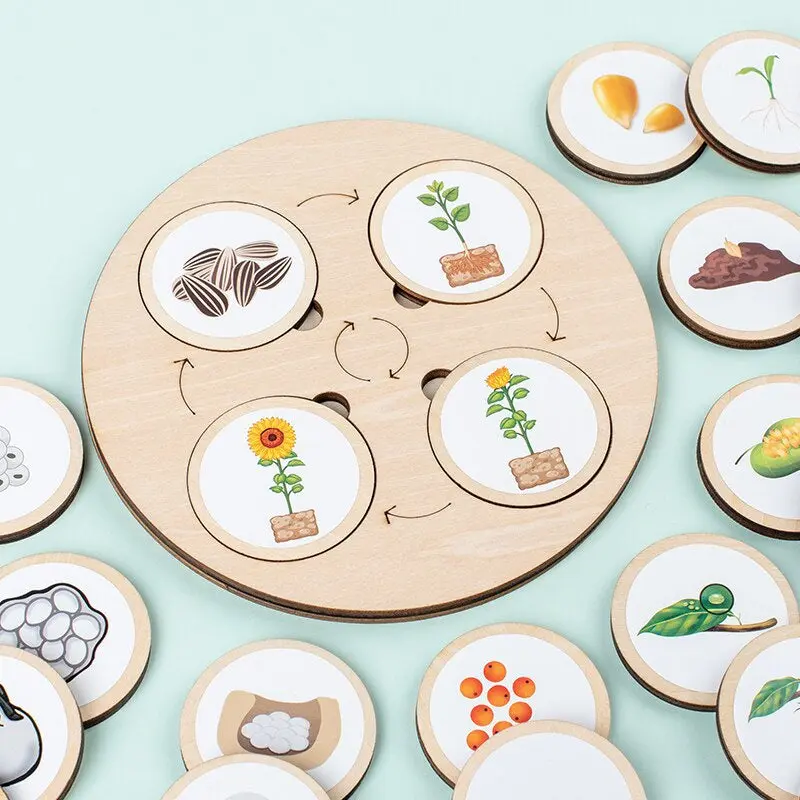 Woods™ - Learn how to find the circle of life! - Wooden learning puzzle