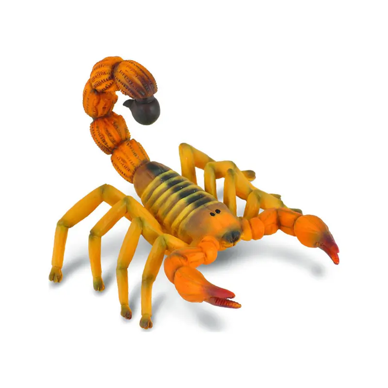 Yelllow Fat-Tailed Scorpion