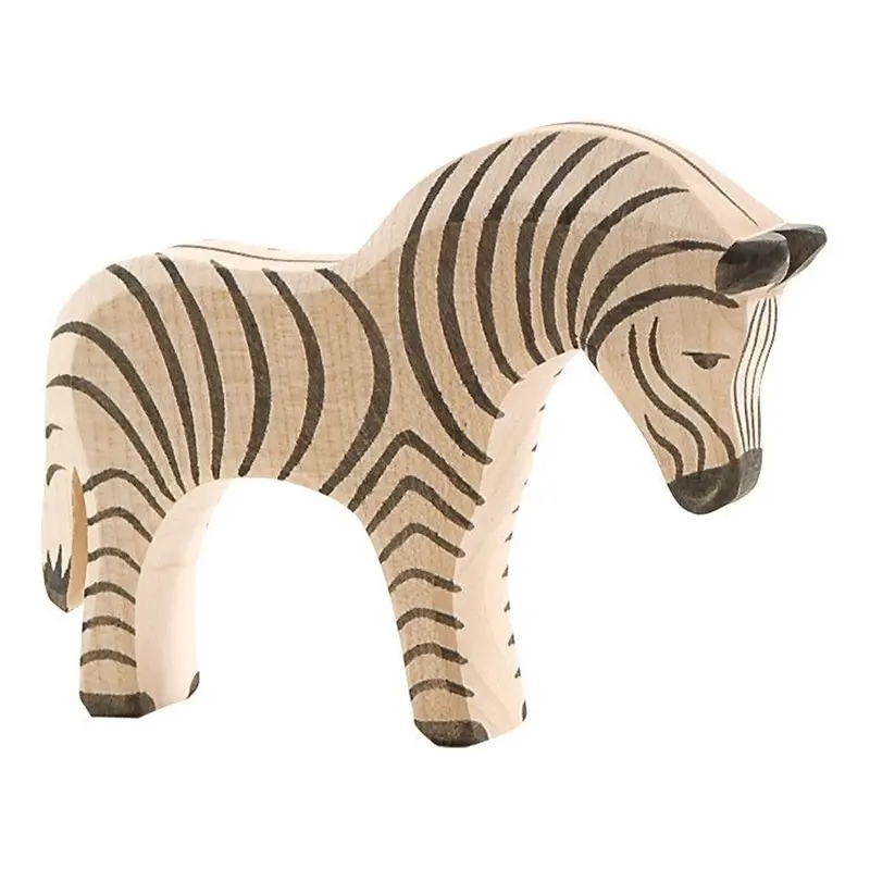 Zebra Foal